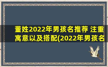 董姓2022年男孩名推荐 注重寓意以及搭配(2022年男孩名推荐：董氏“清雅”系列，精选典雅寓意之名！)